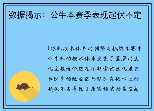 数据揭示：公牛本赛季表现起伏不定
